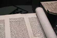 Koło Naukowe Studentów Historii Sztuki UG w Muzeum Narodowym w Warszawie