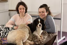 zajęcia dla studentów z terapii antystresowej z udziałem zwierząt