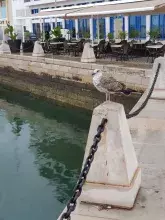 Staff Week w Portugalii